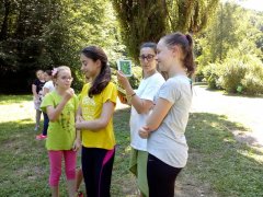 IMG_20190625_144227.jpg